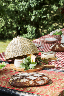 L'ambiance comptoir de famille